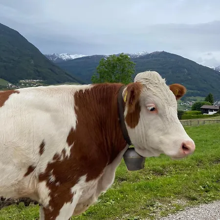 Apartment Weide Stubaital - Adults Only *